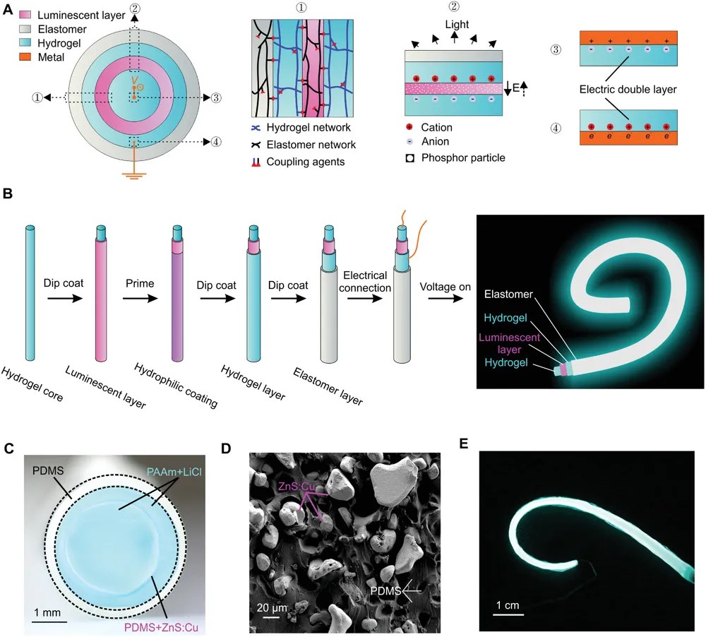 哈佛大学与南科大共同研究离电发光纤维织物
