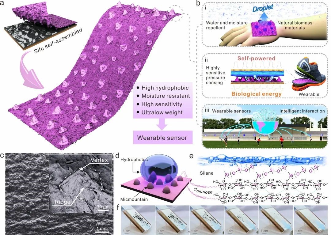 可用于人体运动监测的纳米纤维素摩擦电材料